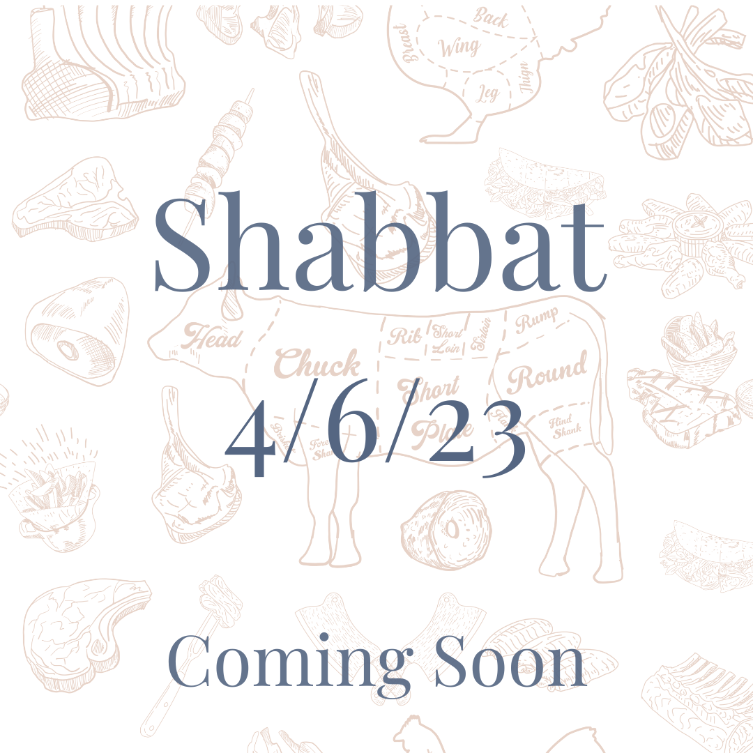 Shabbat 4/6